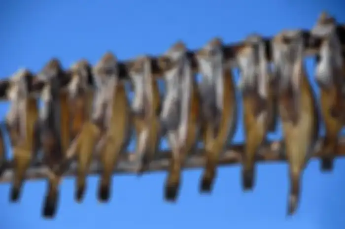 Ikan asin adalah ikan yang dikeringkan setelah digarami dengan air garam atau garam kering. 