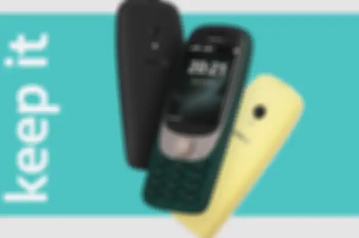 Nokia 6310
