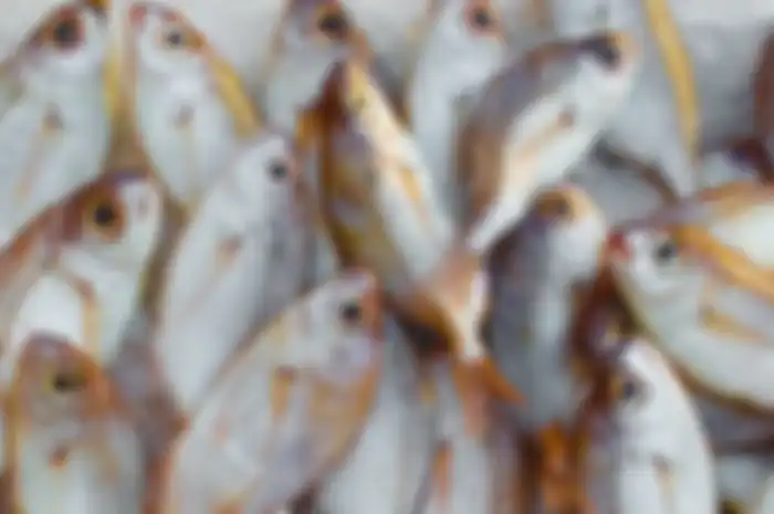 Cara menyimpan ikan tetap segar