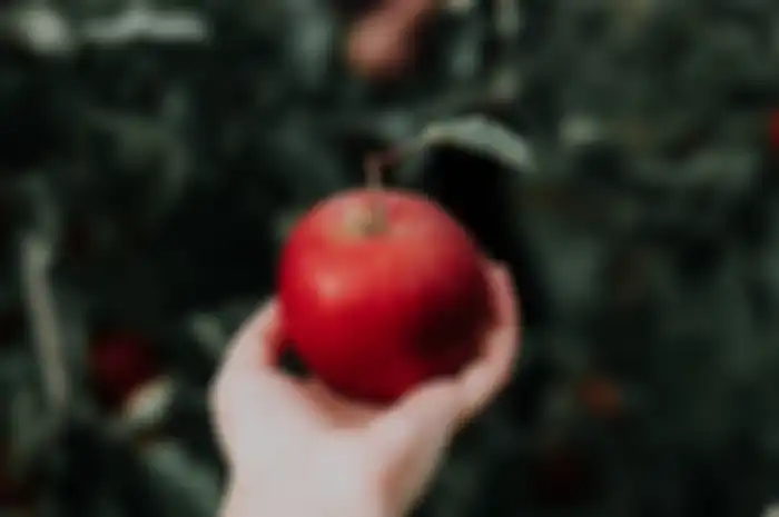 manfaat buah apel