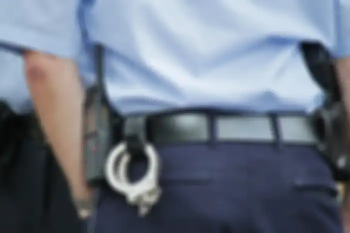 Ilustrasi polisi