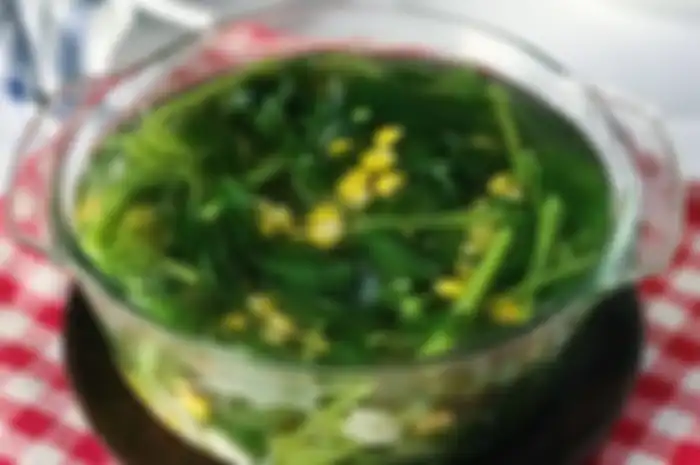 Illustrasi sayur bayam 