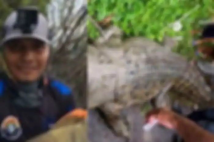 Pria ini jasadnya ditemukan di dalam perut buaya.