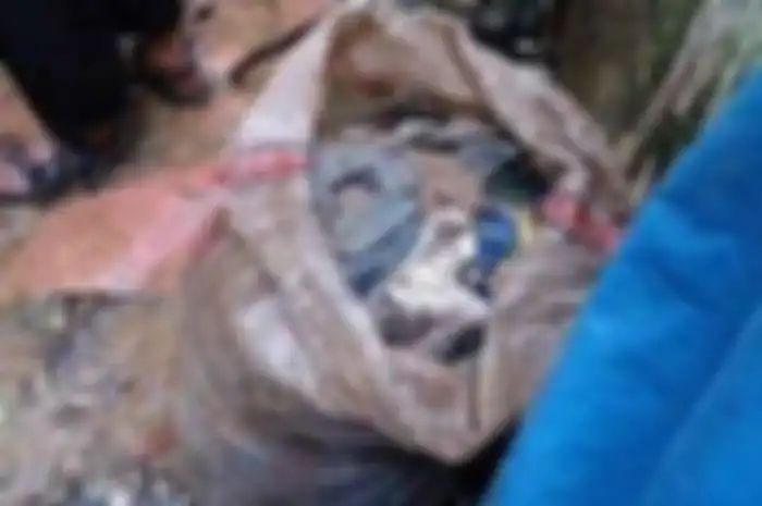 Warga Karawang, Jawa Barat dihebohkan dengan sebuah video tumpukan pakaian dalam pengunjung yang ziarah ke puncak gunung Sanggabuana, Desa Mekarbuana, Kecamatan Tegalwaru.