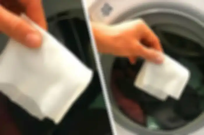Cukup Taruh Tisu Basah ke dalam Mesin Cuci, Hal Tak Terduga Ini Bisa Terjadi pada Pakaian Kita