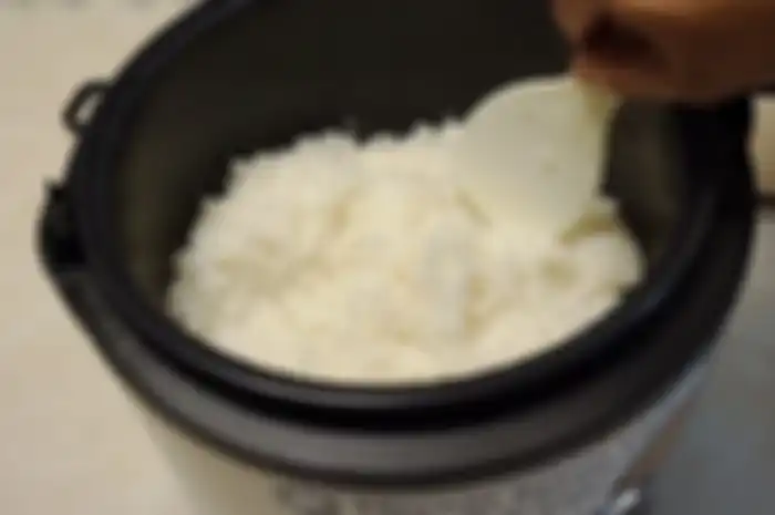 ilustrasi memasak nasi di rice cooker yang ternyata jika Anda menambahkan 1 bahan ini tak akan membuat diabetes