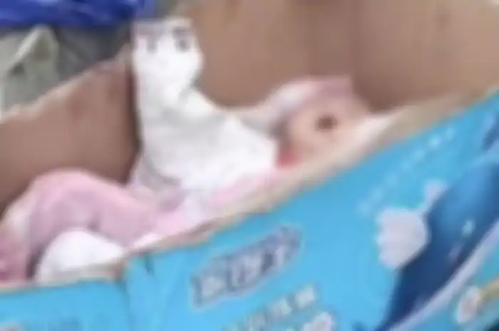 Sebuah video viral menunjukkan seorang bayi berada di dalam kotak kertas bekas di sebelah ember yang digunakan untuk pigswill 