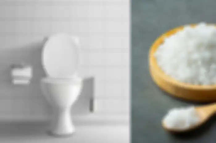Cara membuat WC mampet kembali lancar dengan garam.