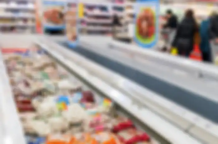 Ilustrasi frozen food