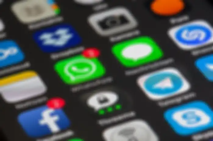 Alasan Chat WhastApp tiba-tiba hilang