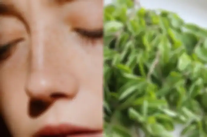 flek hitam dan daun kelor