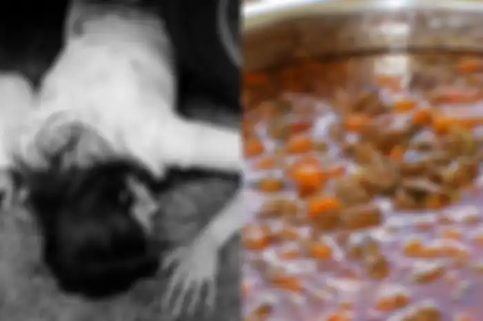 Pria kanibal tega masak tubuh korbannya hingga memakannya menggunakan nasi