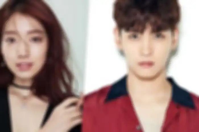 Park Shin Hye dan Choi Tae Joon