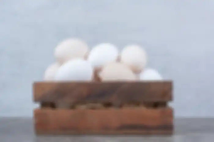 Putih telur