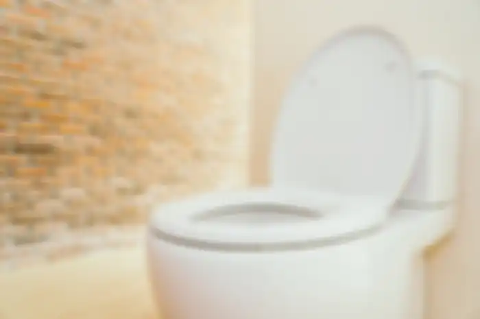 ilustrasi toilet