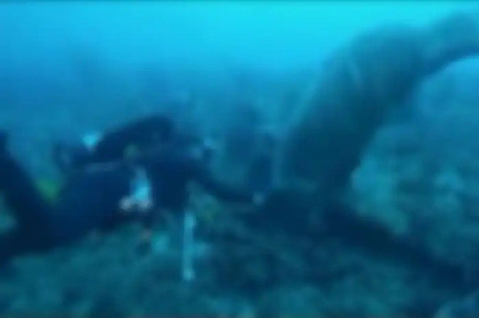 Viral video penampakan ikan kerapu raksasa