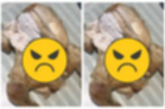 Pria ini syok temukan hal mengerikan di dalam perut ayam yang baru dibelinya