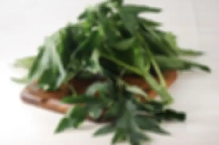 Daun pepaya