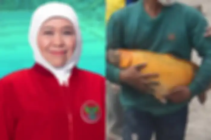 GUbernur Jatim takjub usai tahu ada seekor ikan mas selamat dari bencana Gunung Semeru