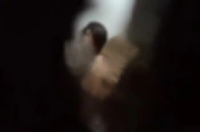 Video syur 25 detik yang menghebohkan warga Sragen