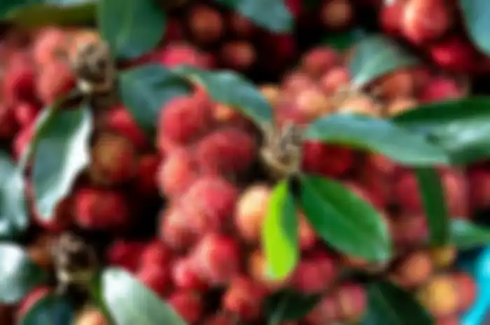 Rambutan