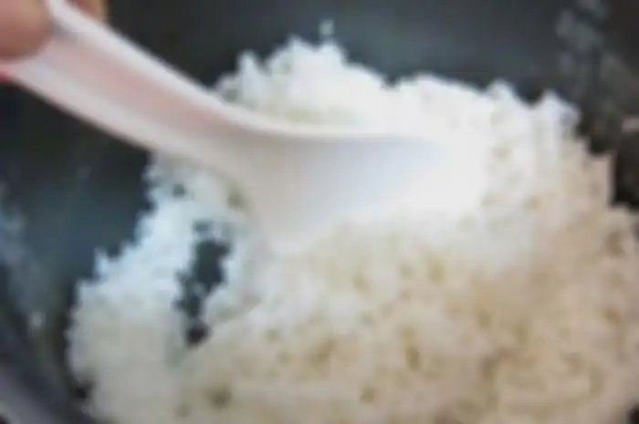Sendok Rice Cooker