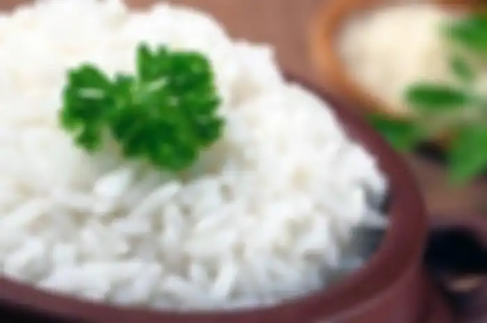 Nasi putih