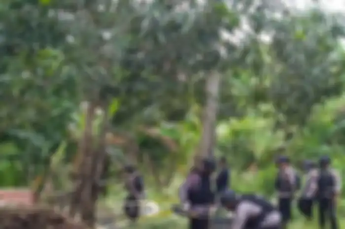 Foto rumah Ulung di Pandeglang yang hancur lebur itu ramai dibahas di media sosial. Terlebih lagi pemilik rumah punya profesi ini.