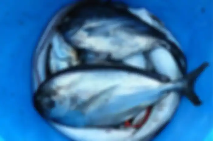Menghilangkan amis pada ikan