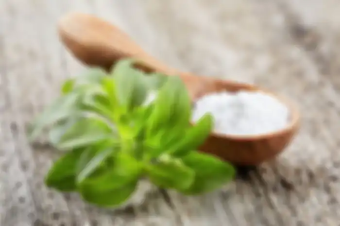 Gula Daun Stevia