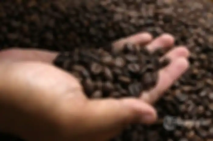 Kopi