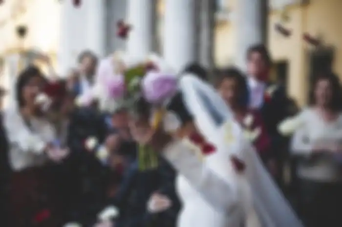 Ilustrasi pengantin baru