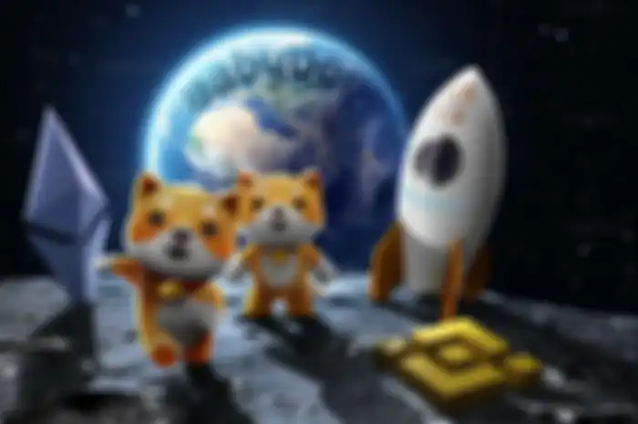 Ilustrasi kripto Baby Doge Coin
