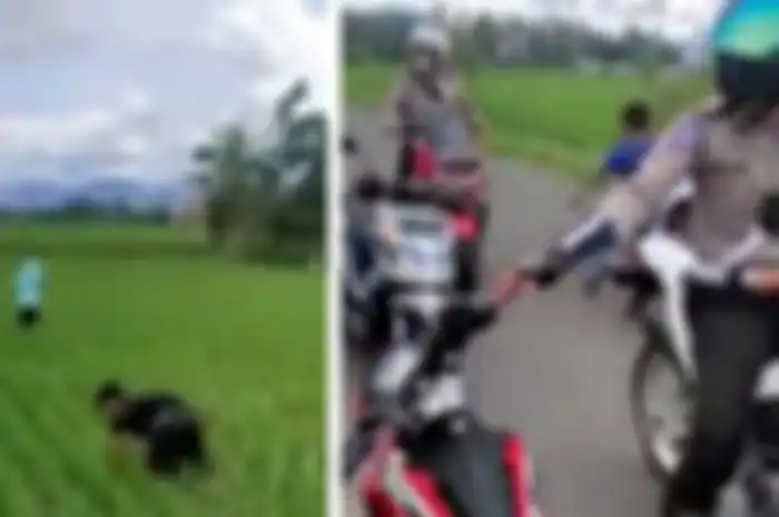 Dua pemuda pura-pura garap sawah demi kelabuhi polantas
