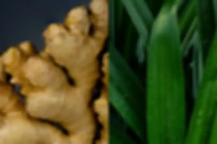 Kolase Jahe dan daun pandan