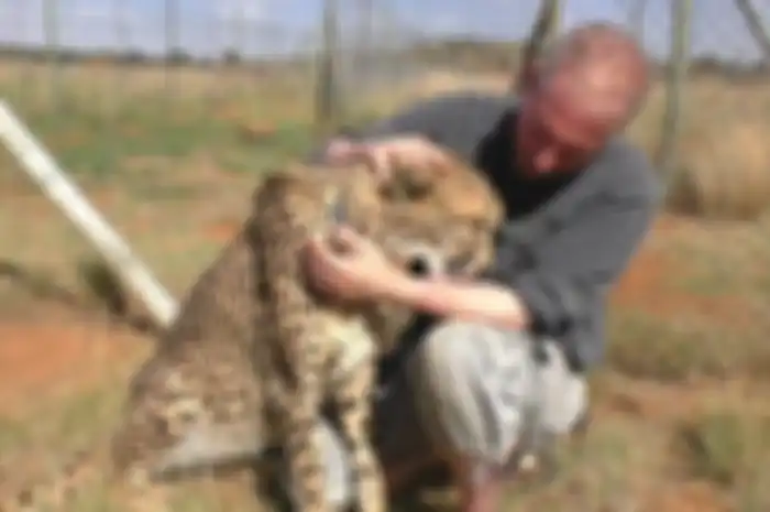 Laki-laki yang besahabat dengan hewan buas Cheetah.