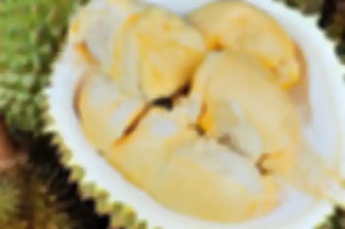 Manfaat biji durian