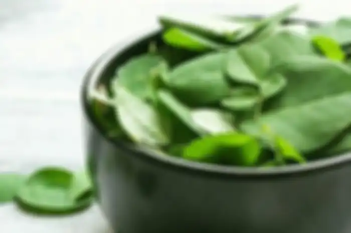 Manfaat makan daun kelor untuk kesehatan