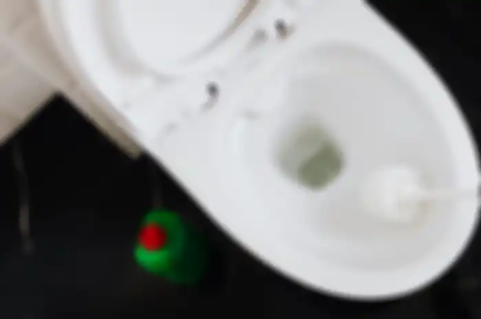 Aneka tips harian, ternyata begini cara mudah atasi wc mampet.