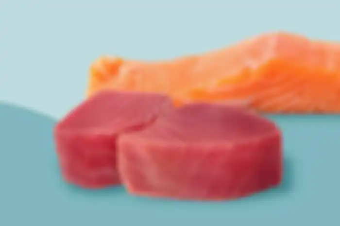 Tuna vs salmon, mana paling sehat?