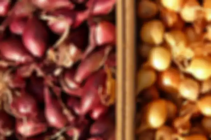 Begini cara membuat pupuk alami dari bawang merah dan bawang putih.