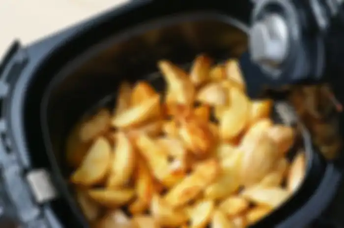 Penggunaan air fryer apa benar bisa memangkas kolesterol?