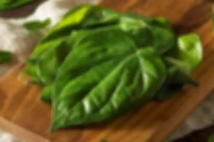 Daun sirih