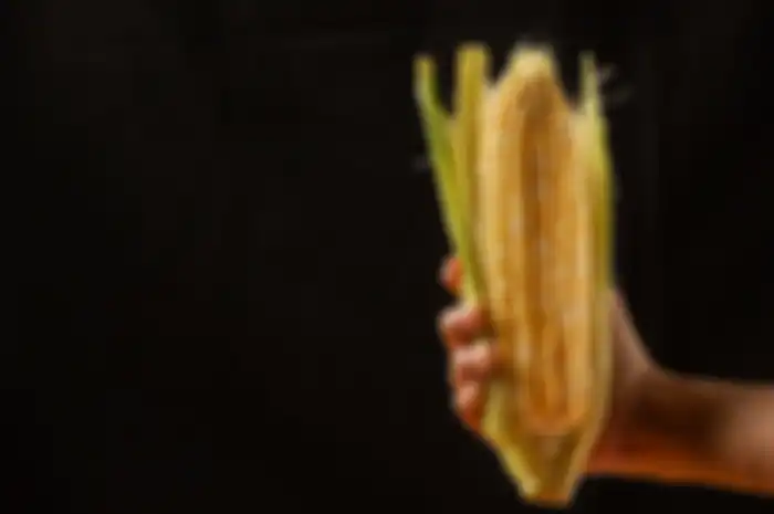jagung bagi penderita diabetes