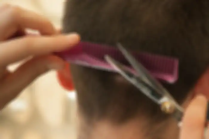 Sisir