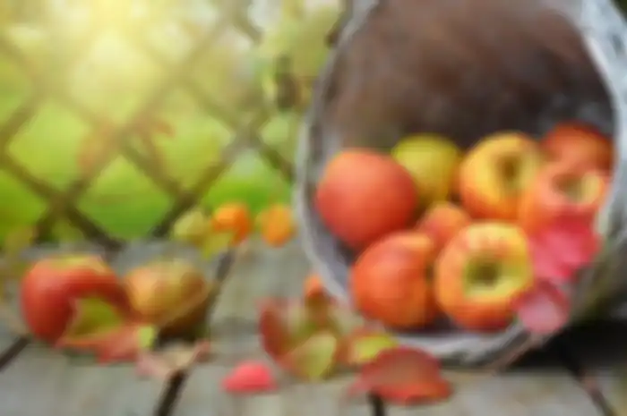 Manfaat makan buah apel setiap hari.