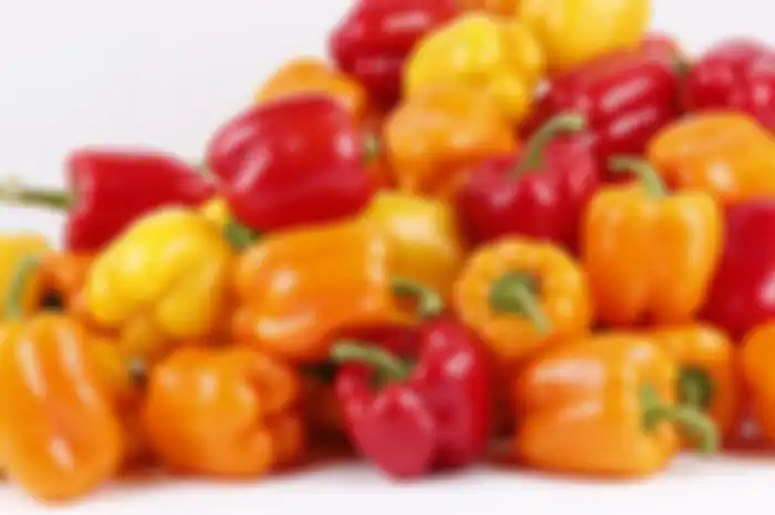 Paprika 