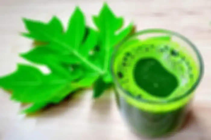 Manfaat minum jus daun pepaya