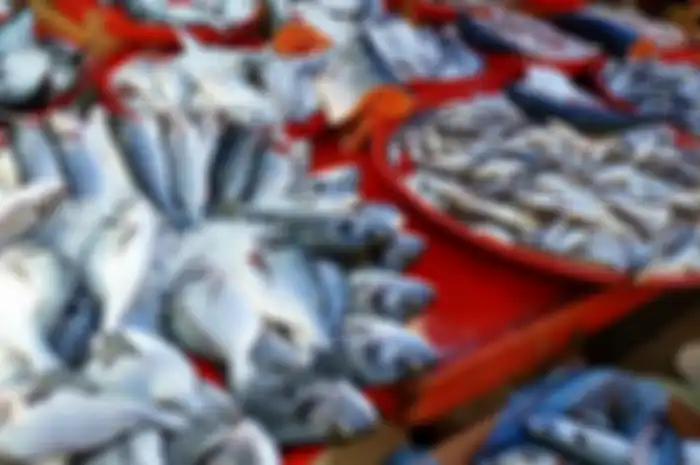Perhatikan bau dan teksturnya, inilah cara memilih ikan segar di pasar.