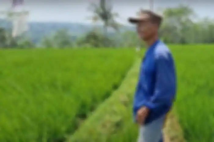 Viral kakek petani di Jawa Barat punya emas batangan setengah kilogram dan sawah luas 